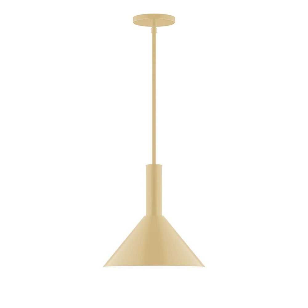 12" Chase LED Stem Hung Pendant