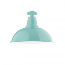 Montclair Light Works FMB108-48 - 16" Cafe Flush Mount Light in Sea Green