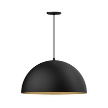 Montclair Light Works PEB229-41-75-L14 - 24" XL Choices Shallow Dome Shade, medium base, black cord with canopy