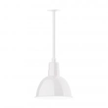 Montclair Light Works STA116-44-H30-L12 - Deep Bowl 12" LED Pendant, stem mount