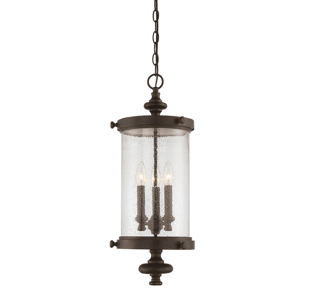 Palmer 3-Light Outdoor Hanging Lantern in Walnut Patina