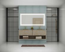 PROG_Captarent_LED_Modern_Farmhouse_Bath_Mirror_72_36_P300493-030-CS_3D_appshot.jpg