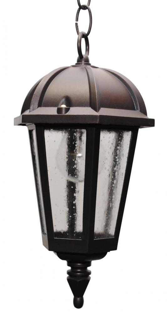 Avanti 2400 Series Hanging Model 2431 Small Outdoor Wall Lantern