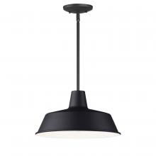 Maxim 35019BK - Pier M-Outdoor Pendant