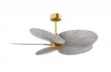 Matthews Fan Company AKTP-BRBR-BW - Alessandra Tropical 5-blade ceiling fan in Brushed Brass and Barn Wood Tone blades.