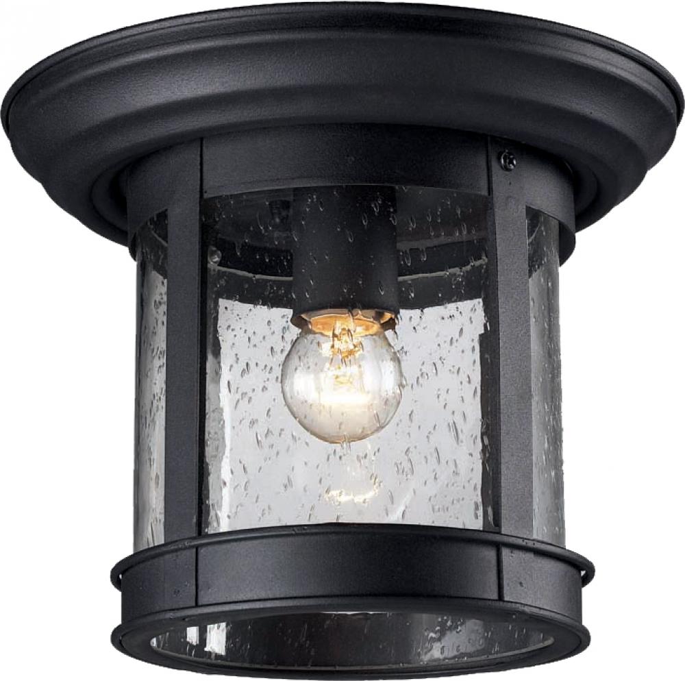 1 Light Outdoor Flush Mount