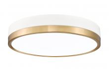  1006F16-MW-MGLD-LED - 1 Light Flush Mount