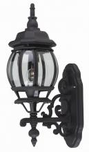 Trans Globe 4050 BK - Francisco 1-Light Outdoor Beveled Glass Coach Wall Lantern