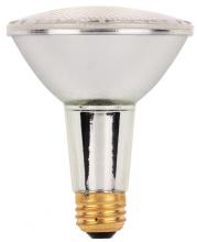 Flood Bulbs