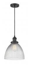  201C-BK-G222 - Seneca Falls - 1 Light - 10 inch - Matte Black - Cord hung - Mini Pendant