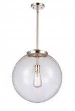 Innovations Lighting 221-1S-PN-G202-16 - Beacon - 1 Light - 16 inch - Polished Nickel - Cord hung - Pendant