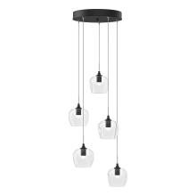 Hubbardton Forge 131123-SKT-STND-10-ZM0709 - Ume 5-Light Pendant