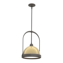 Hubbardton Forge 187462-SKT-MULT-07-86 - Atlas Small Pendant