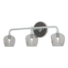 Hubbardton Forge 201342-SKT-82-14-YL0709 - Ume 3-Light Curved Arm Bath Sconce