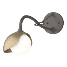 Hubbardton Forge 201376-SKT-07-84-GG0711 - Brooklyn 1-Light Single Shade Long-Arm Sconce