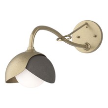 Hubbardton Forge 201377-SKT-84-07-GG0711 - Brooklyn 1-Light Double Shade Long-Arm Sconce