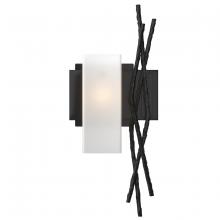  207670-SKT-LFT-10-GG0351 - Brindille Sconce